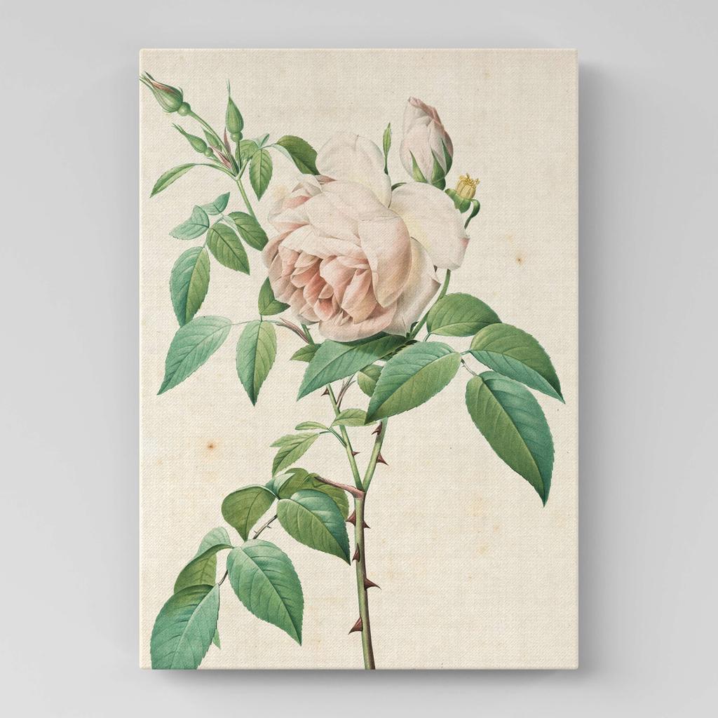 Картина с цветами (Ботаника) FB1054