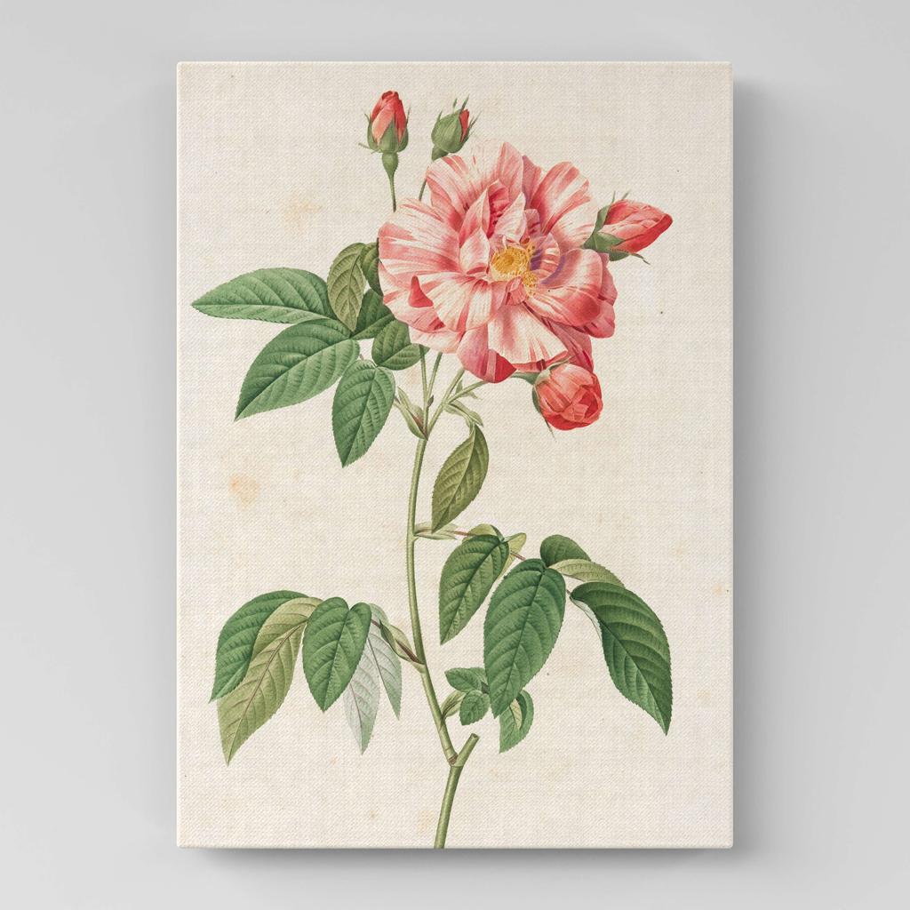 Картина с цветами (Ботаника) FB1055