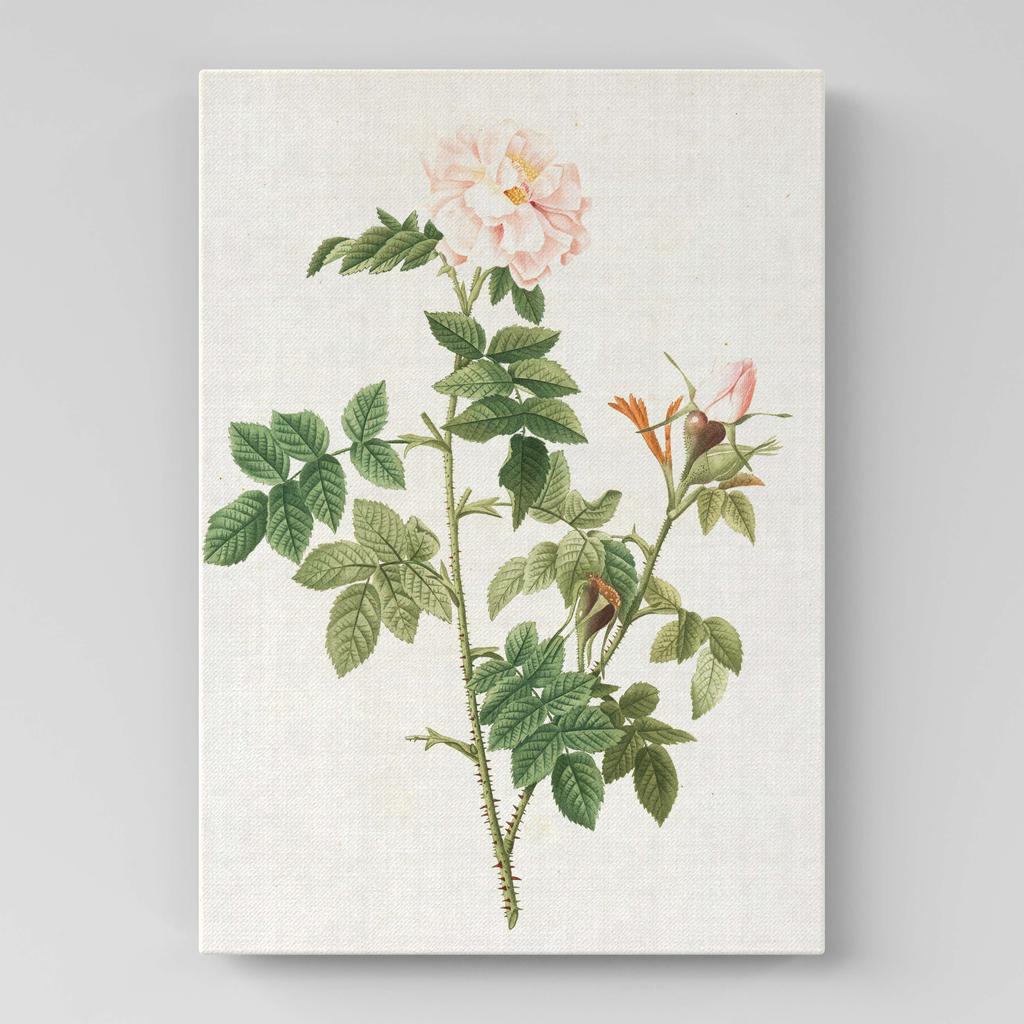 Картина с цветами (Ботаника) FB1056