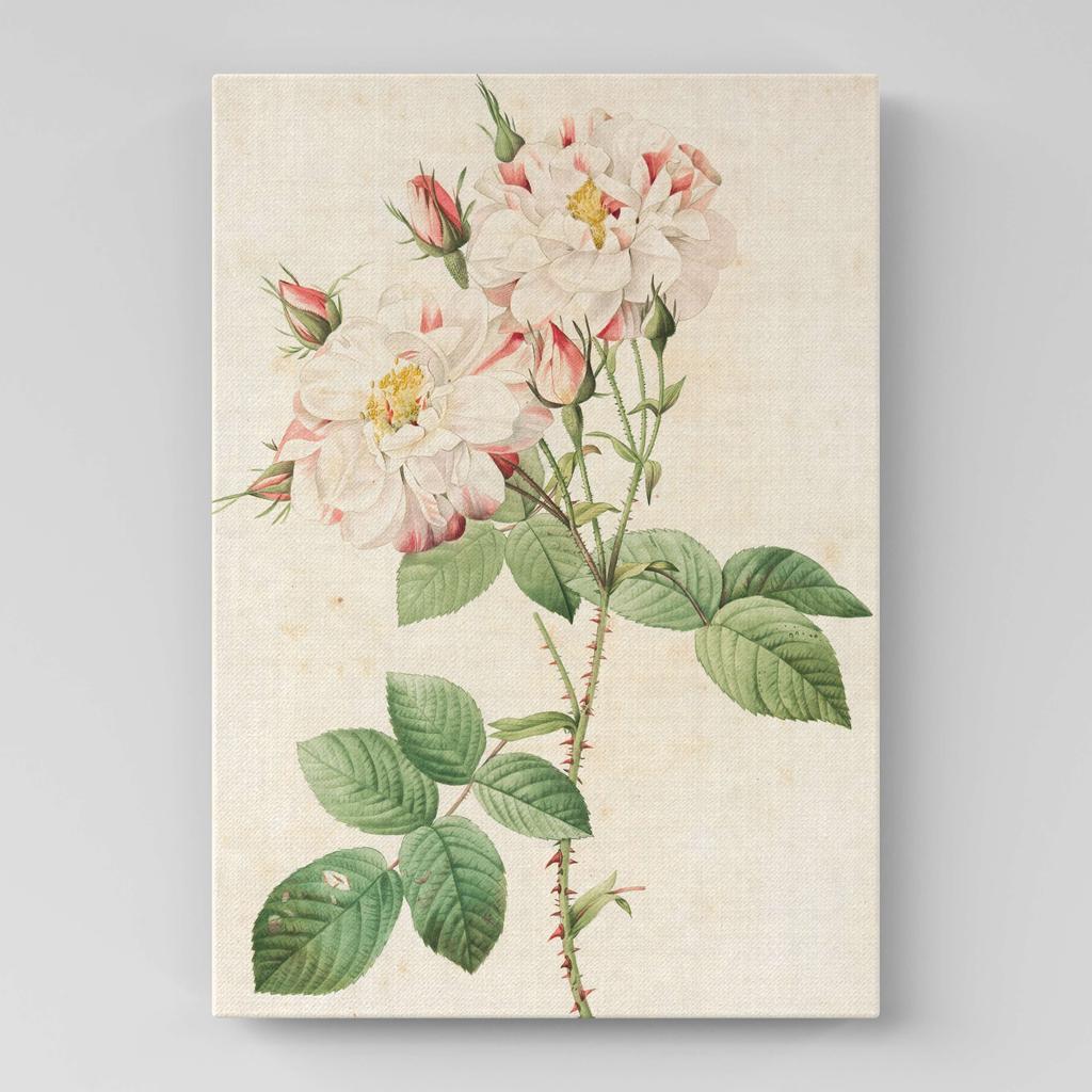 Картина с цветами (Ботаника) FB1057