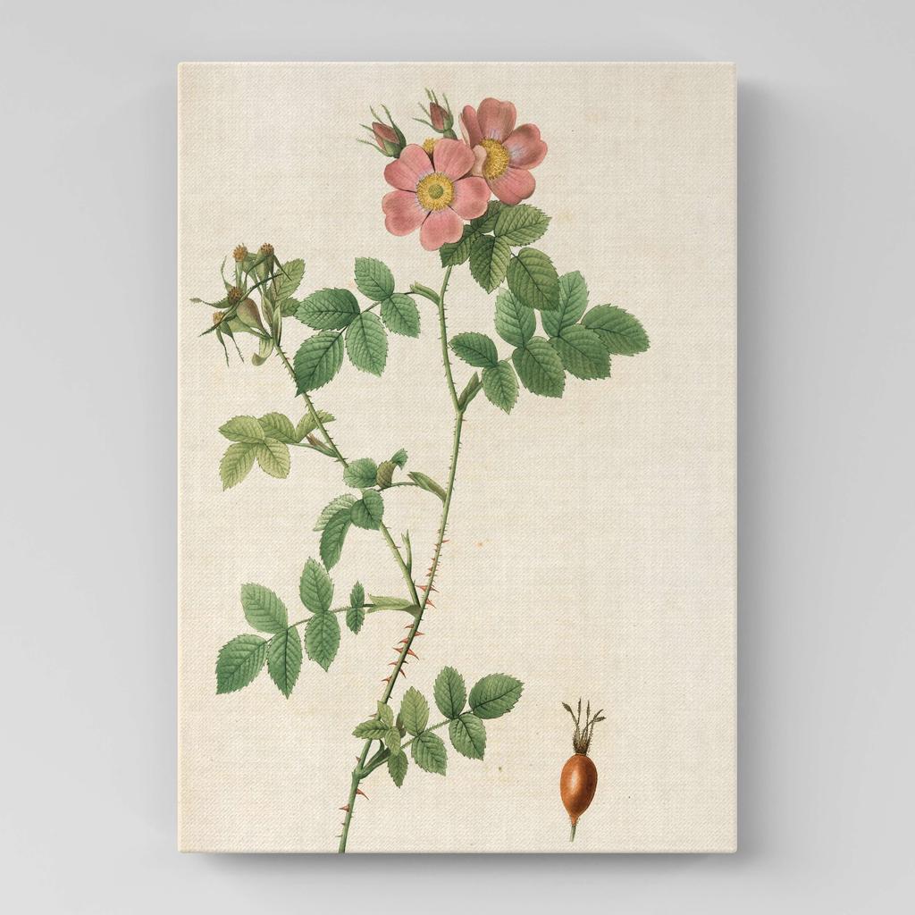 Картина с цветами (Ботаника) FB1058