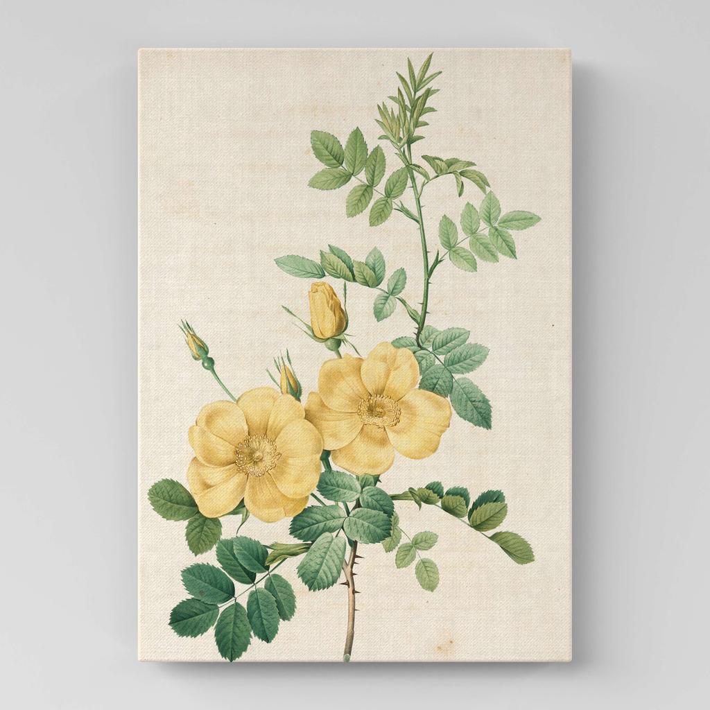 Картина с цветами (Ботаника) FB1059