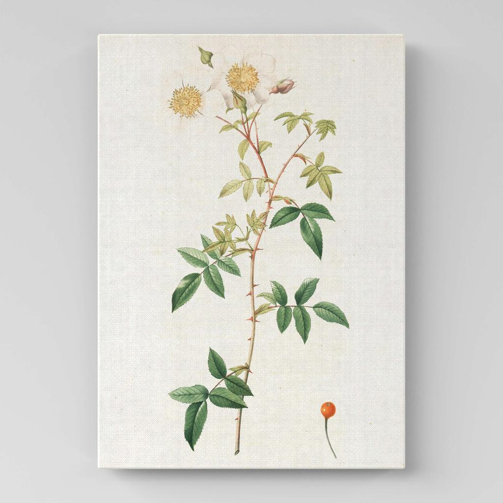 Картина с цветами (Ботаника) FB1060