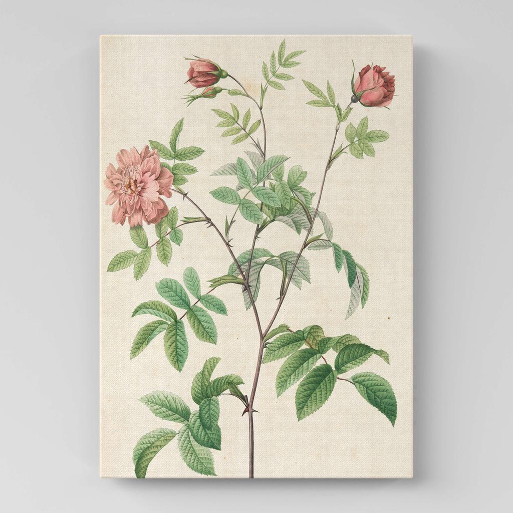 Картина с цветами (Ботаника) FB1062