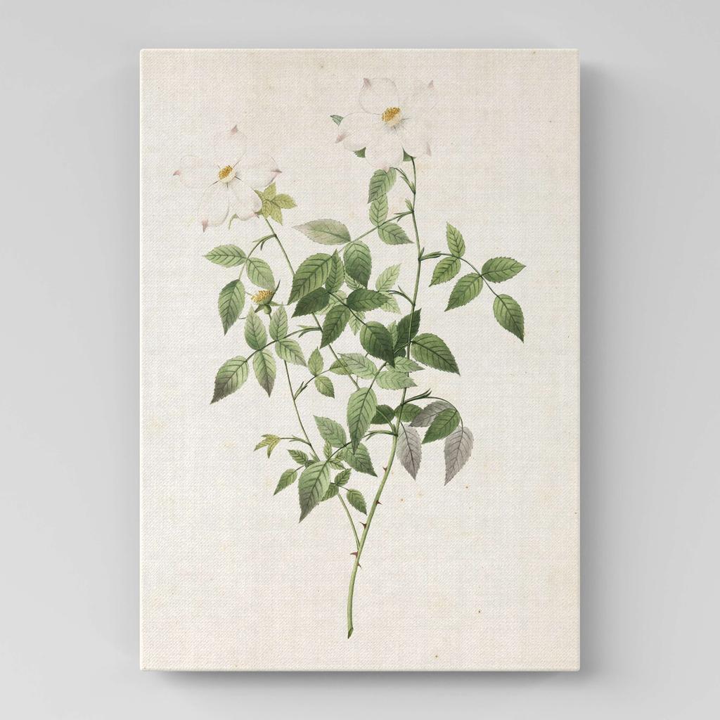 Картина с цветами (Ботаника) FB1063