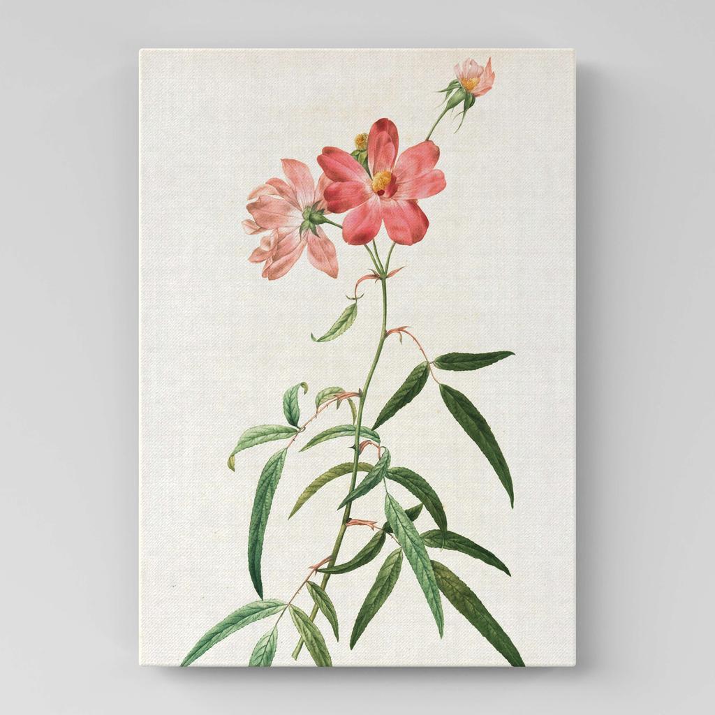 Картина с цветами (Ботаника) FB1064