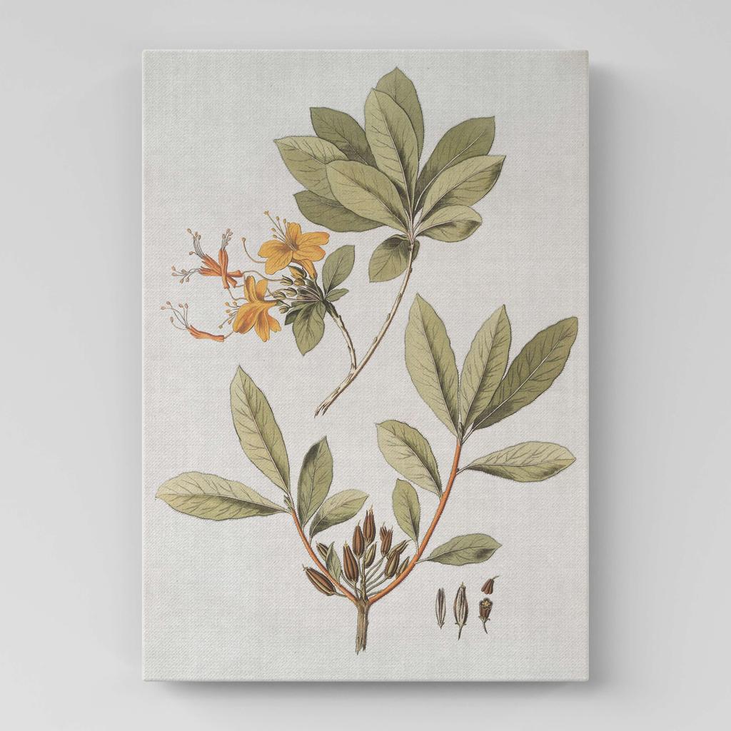 Картина с цветами (Ботаника) FB1065