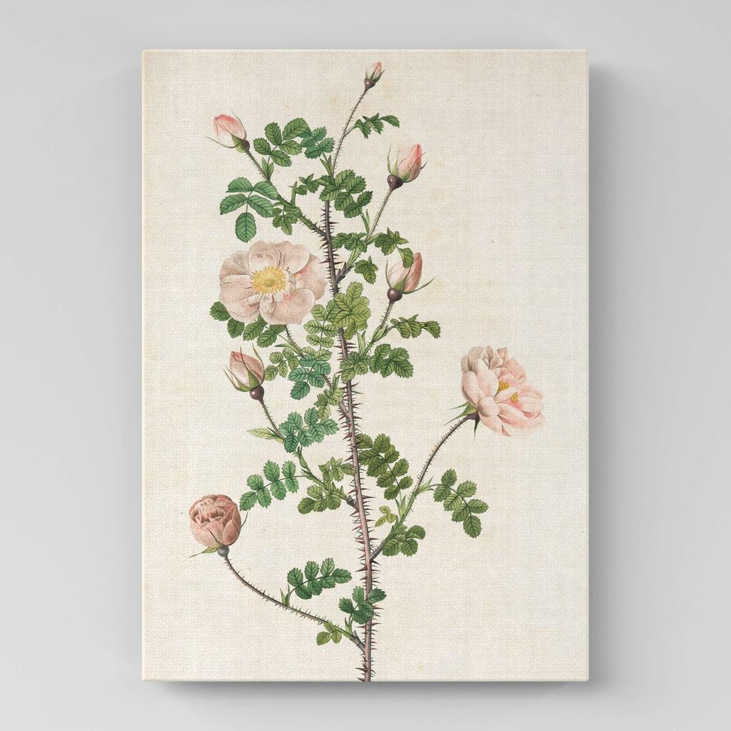 Картина с цветами (Ботаника) FB1066