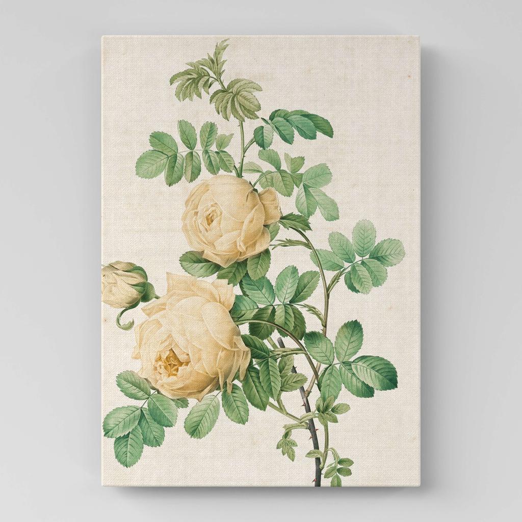 Картина с цветами (Ботаника) FB1070