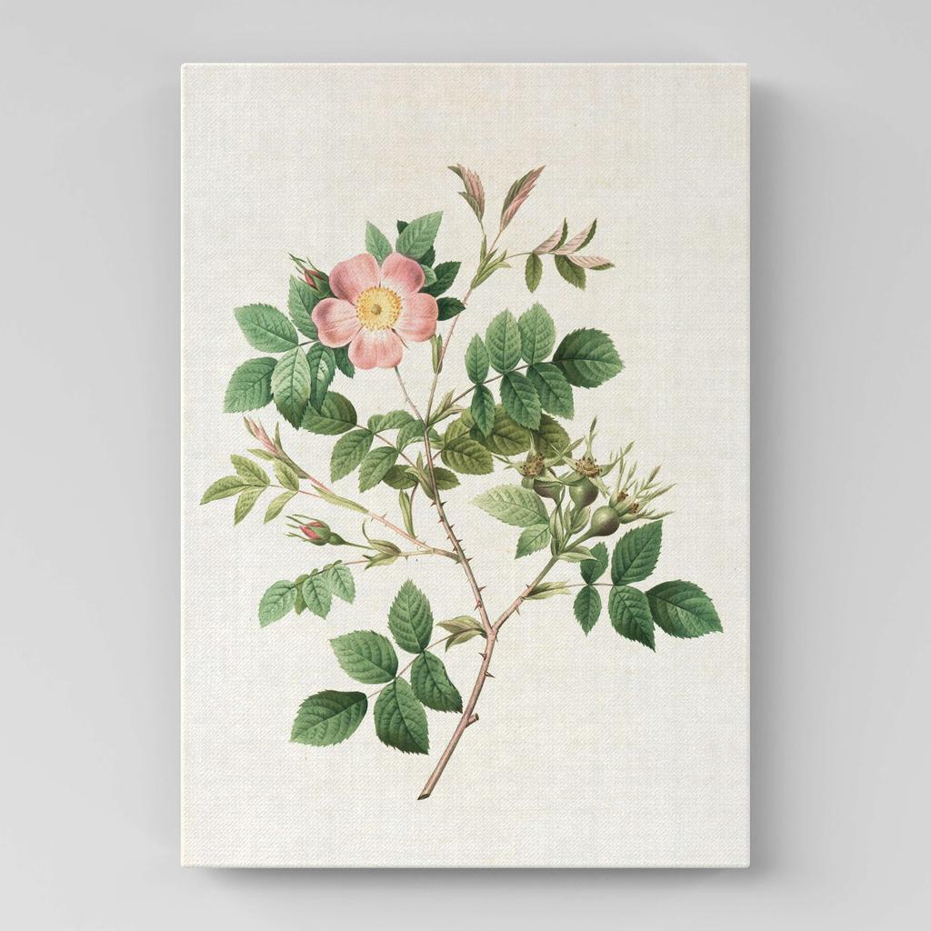 Картина с цветами (Ботаника) FB1072