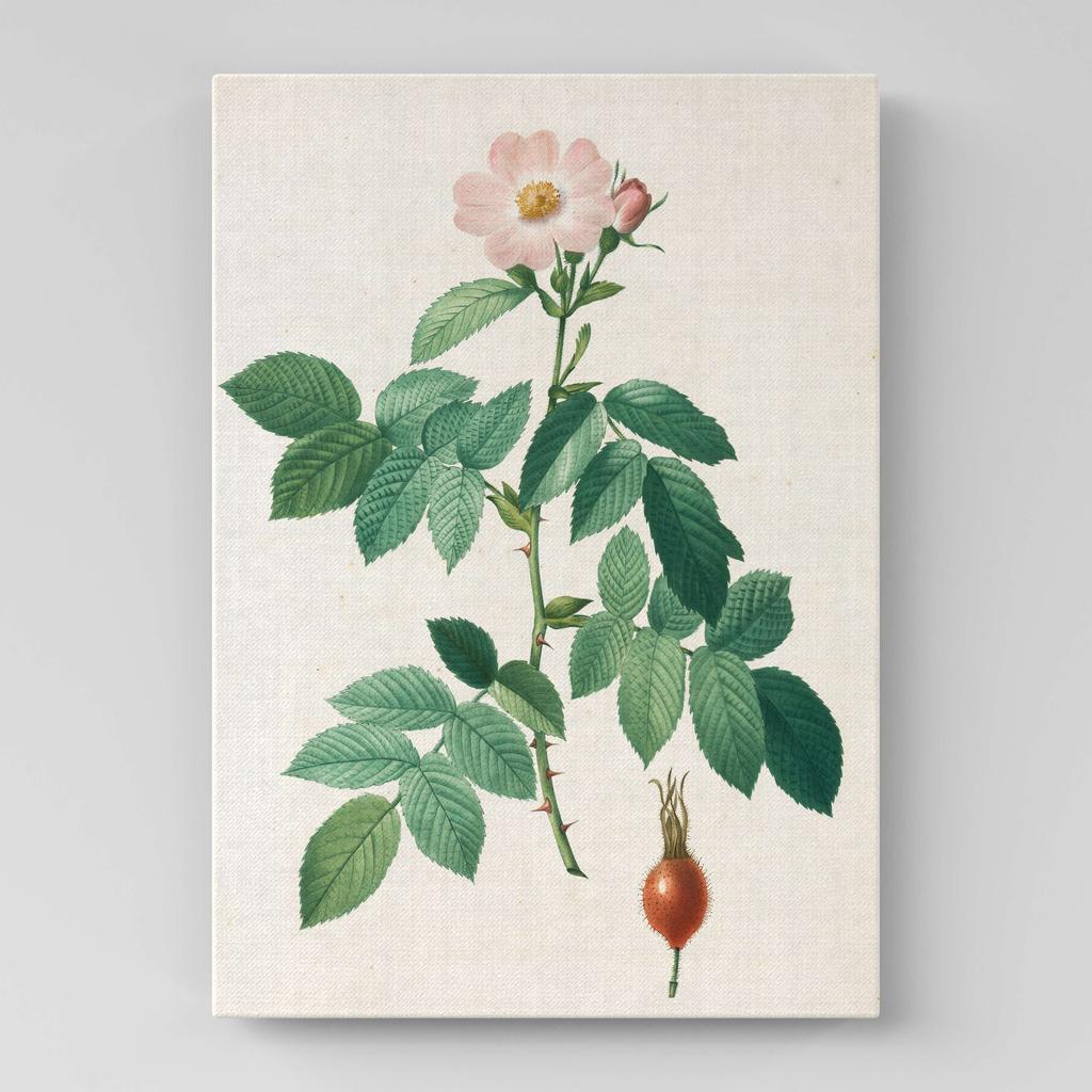 Картина с цветами (Ботаника) FB1075