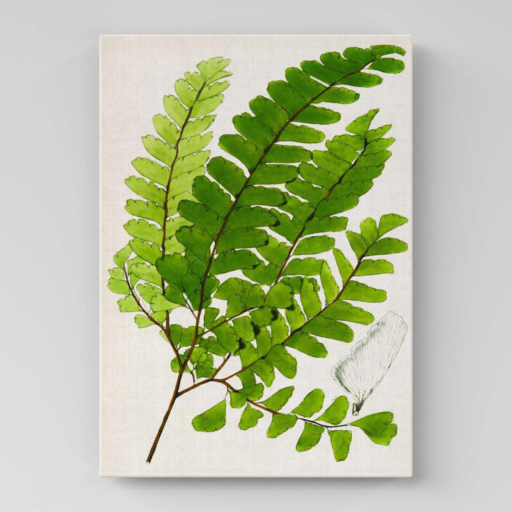 Картина с цветами (Ботаника) FB1080