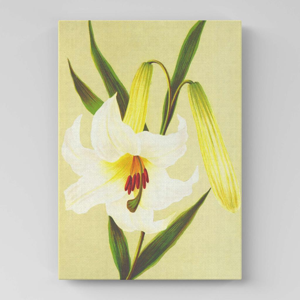 Картина с цветами (Ботаника) FB1081