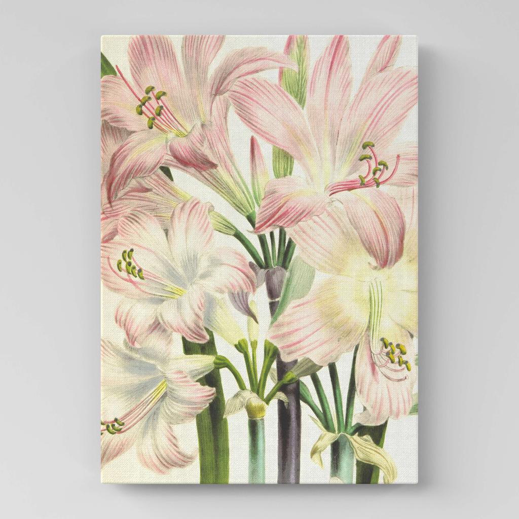 Картина с цветами (Ботаника) FB1090