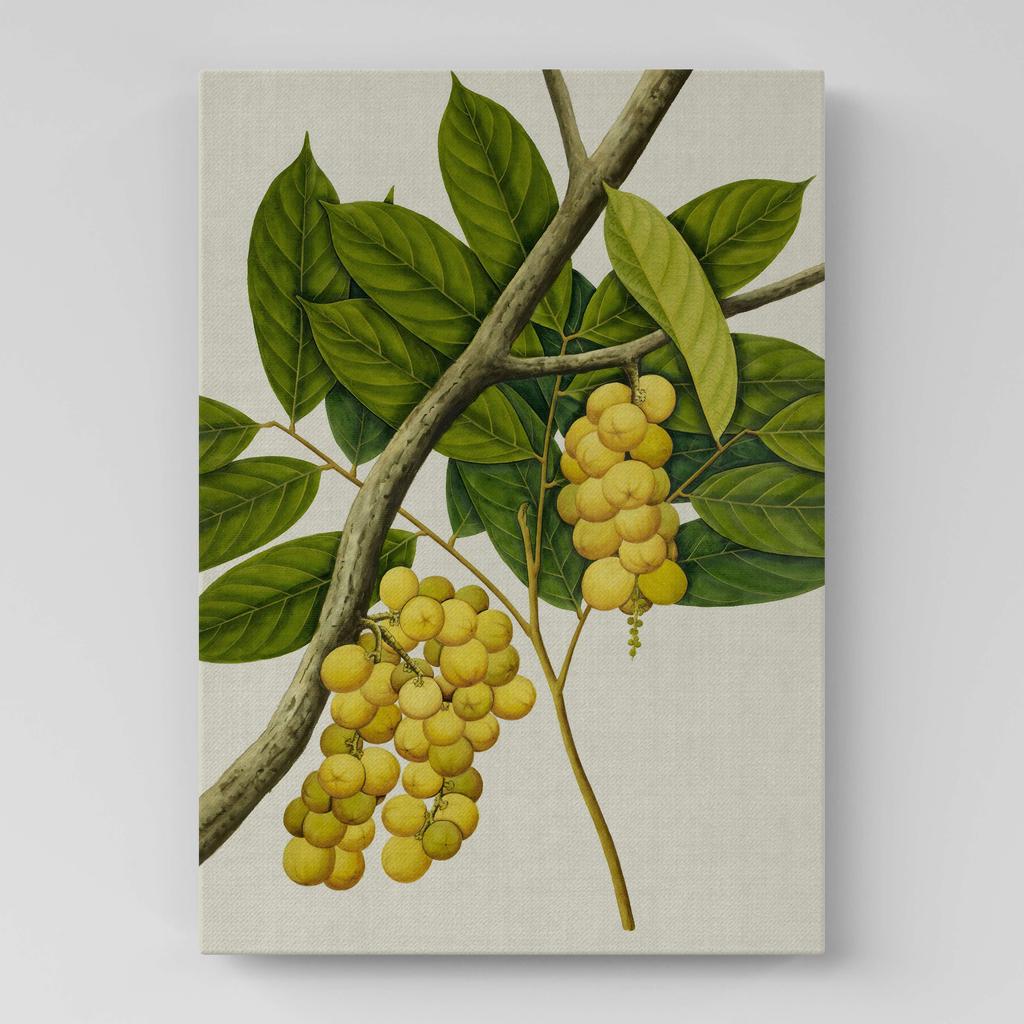 Картина с цветами (Ботаника) FB1092