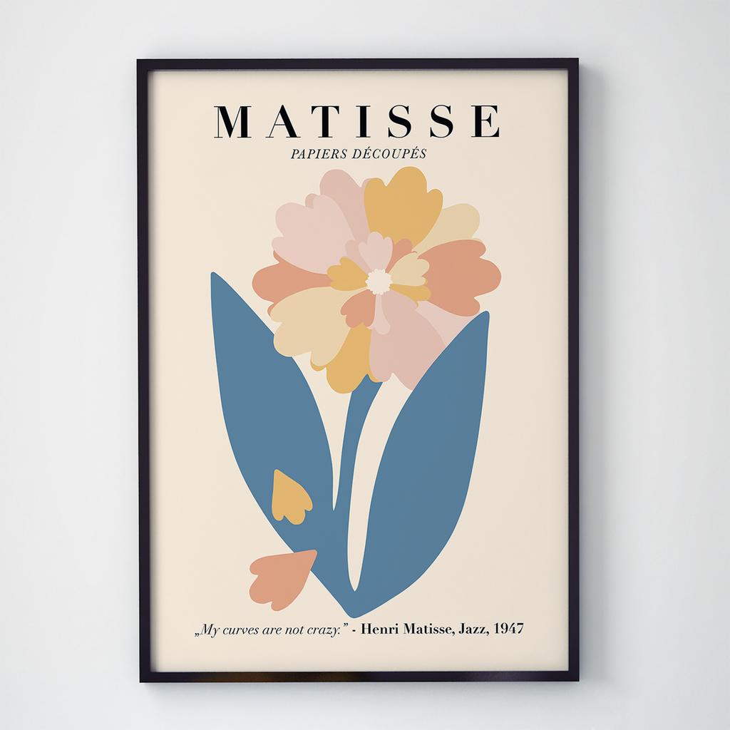 Постер Анри Матисс (Henri Matisse) AMS079