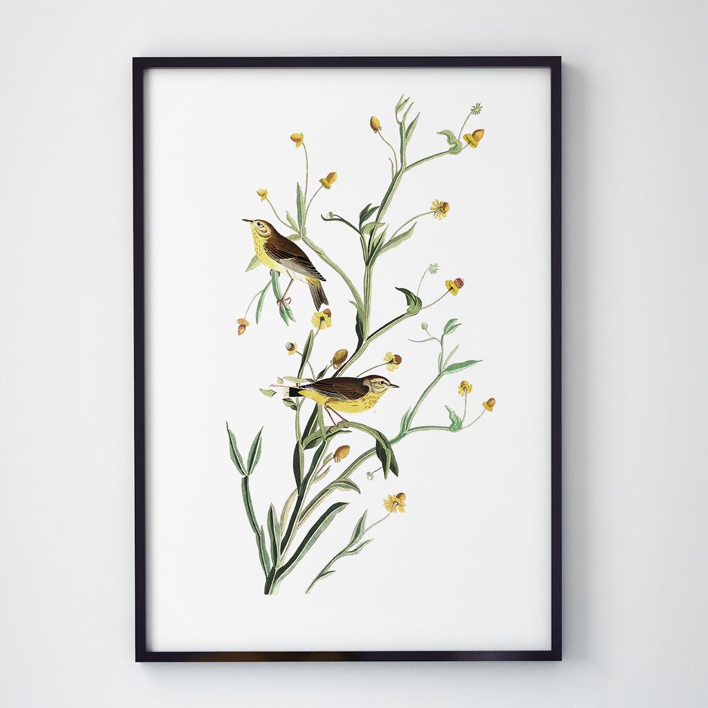 Постер Ботаніка (Botanic) BC1001