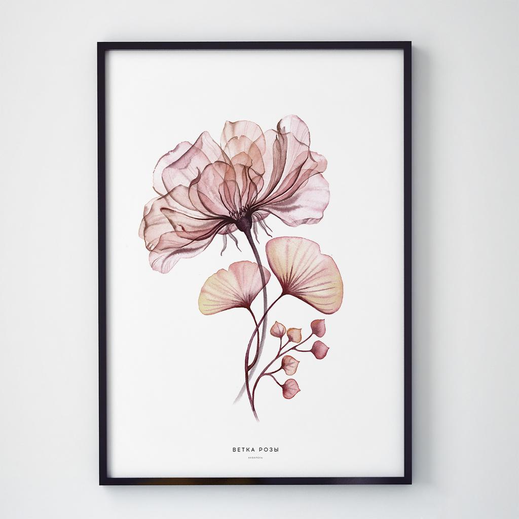 Постер Ботаніка (Botanic) BC1006
