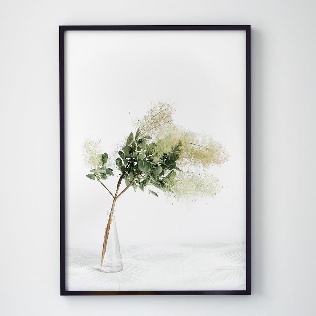 Постер Ботаніка (Botanic) BC1016