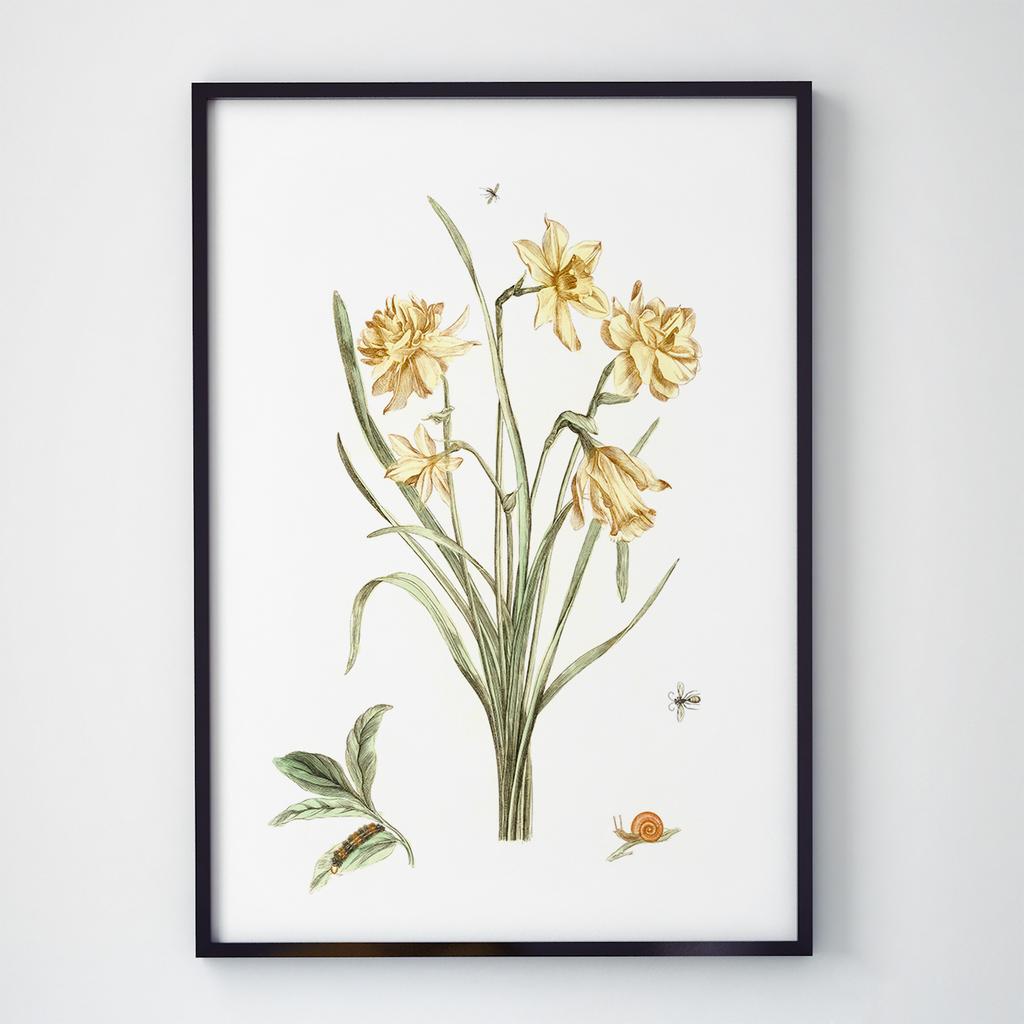 Постер Ботаніка (Botanic) BC1023