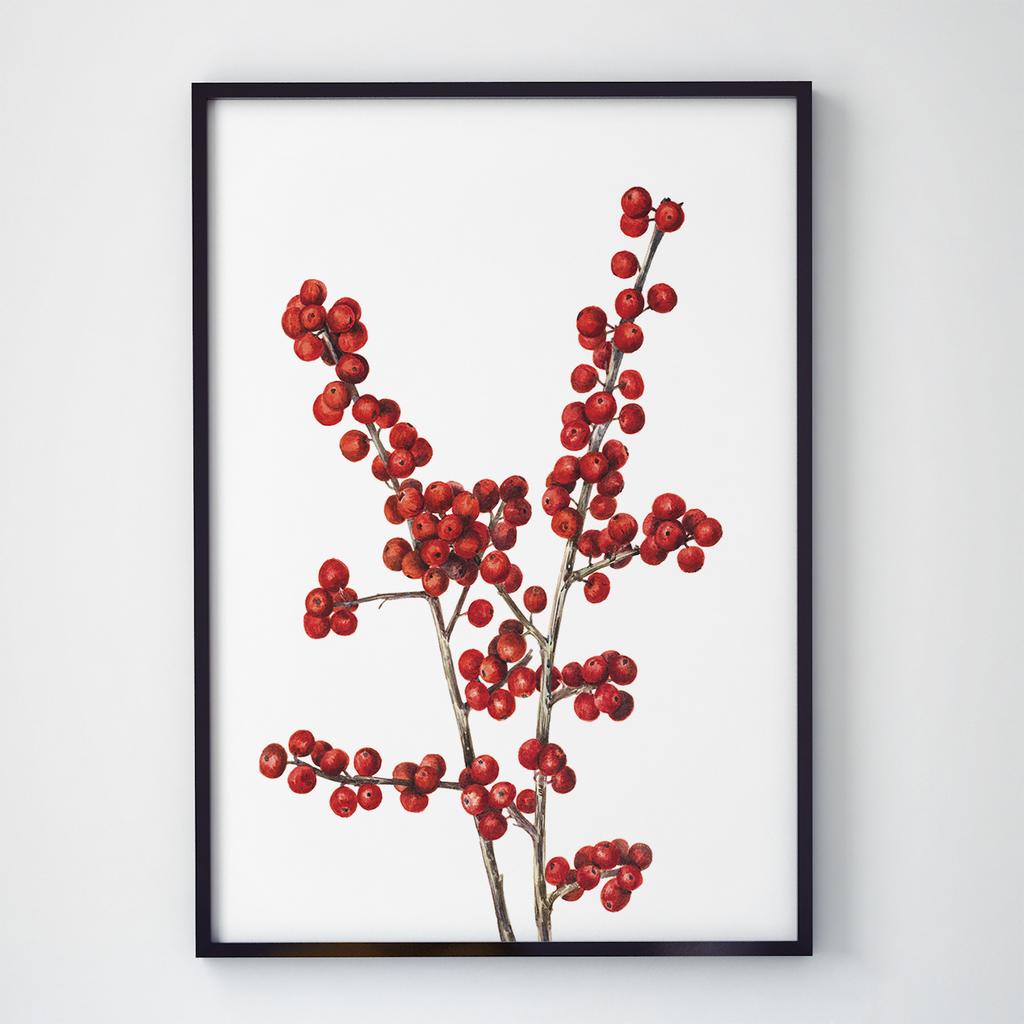 Постер Ботаніка (Botanic) BC1031