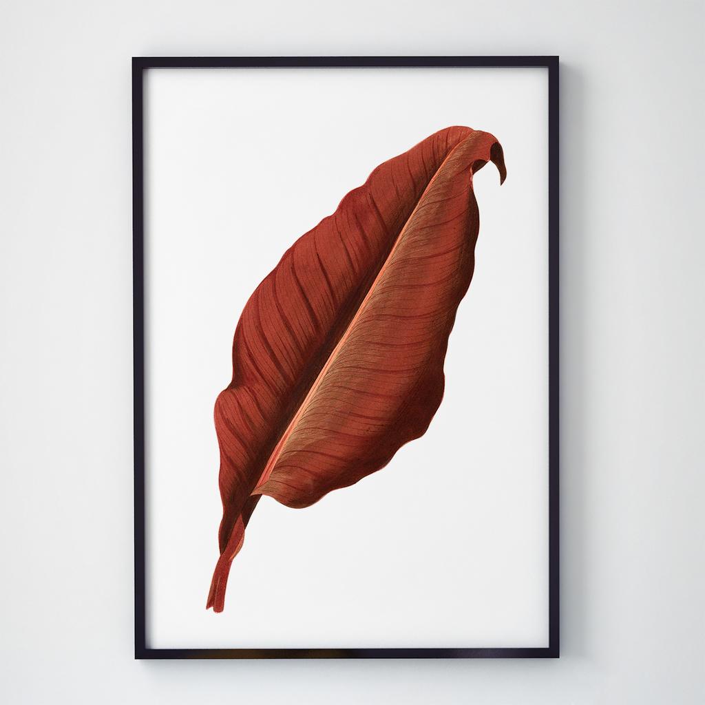 Постер Ботаніка (Botanic) BC1038