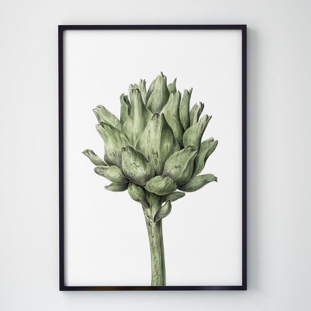 Постер Ботаніка (Botanic) BC1053