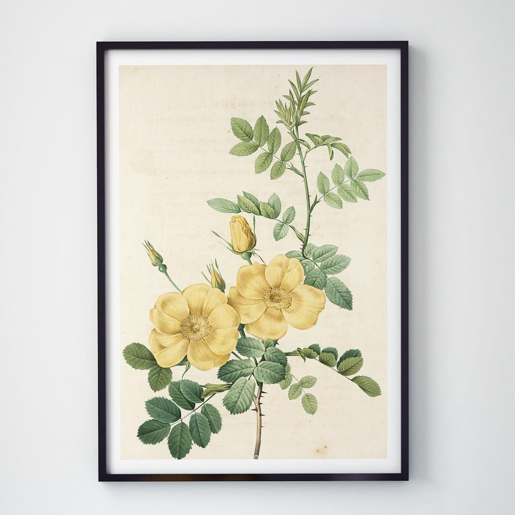 Постер на стіну з квітами WF1005