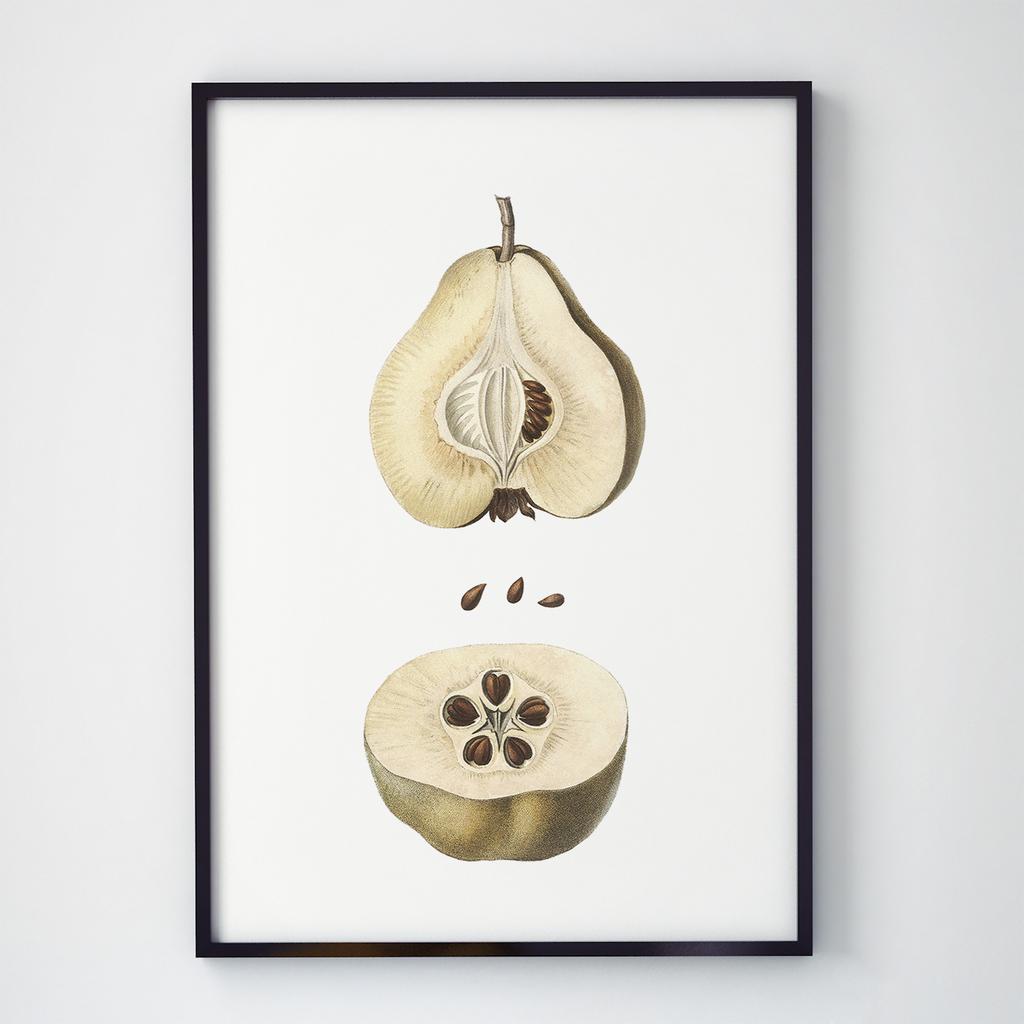 Постер Овочі та Фрукти VF1004