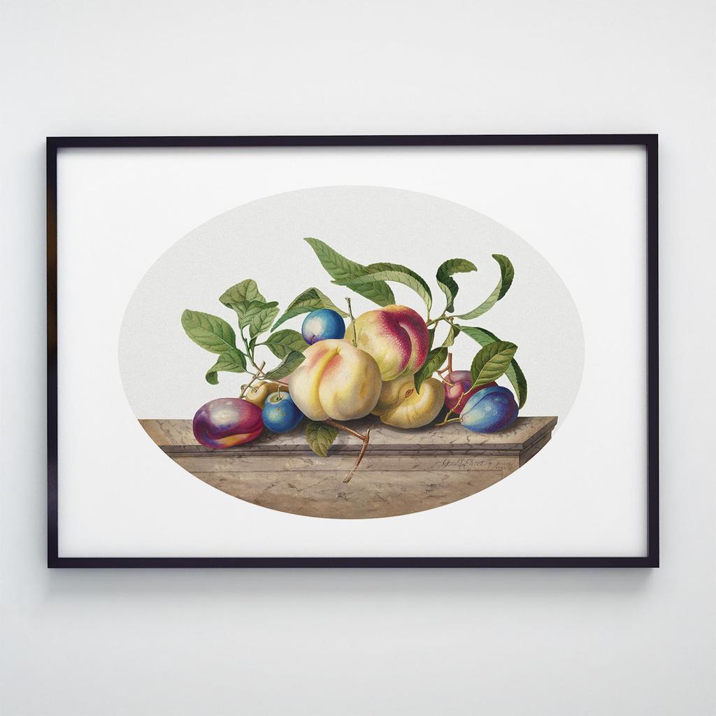 Постер Овочі та Фрукти VF1007