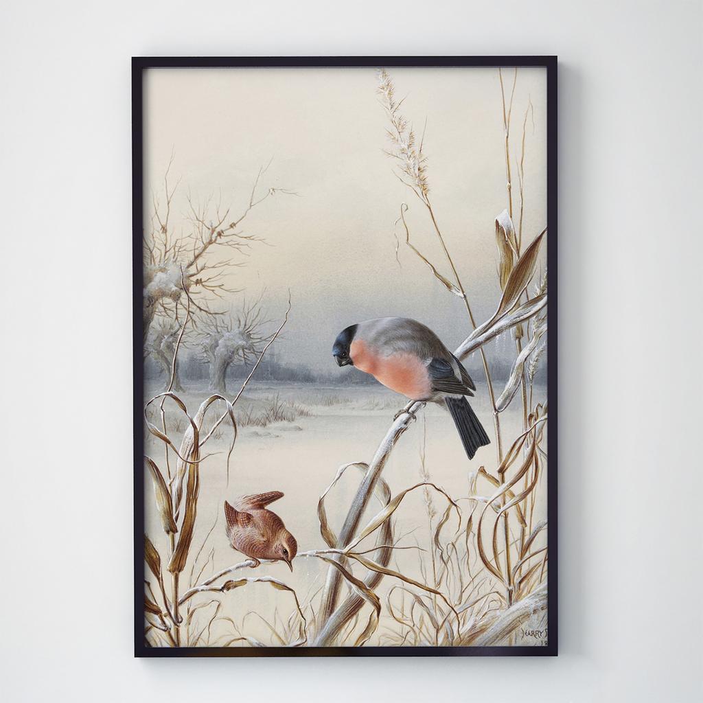 Постер на стіну з Птахами B002