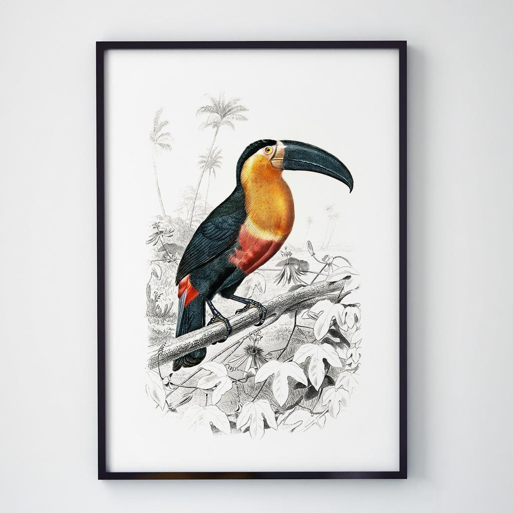 Постер на стіну з Птахами B005