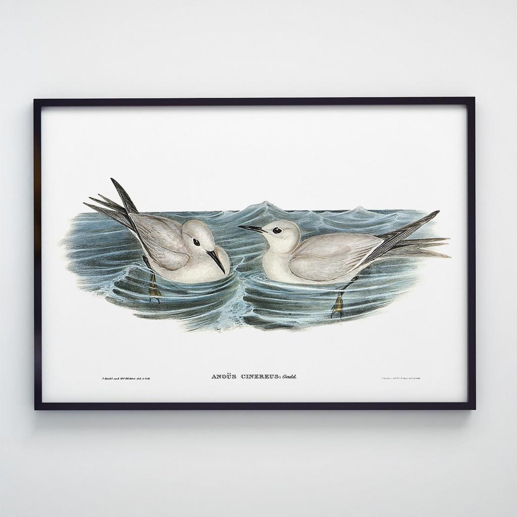 Постер на стіну з Птахами B014