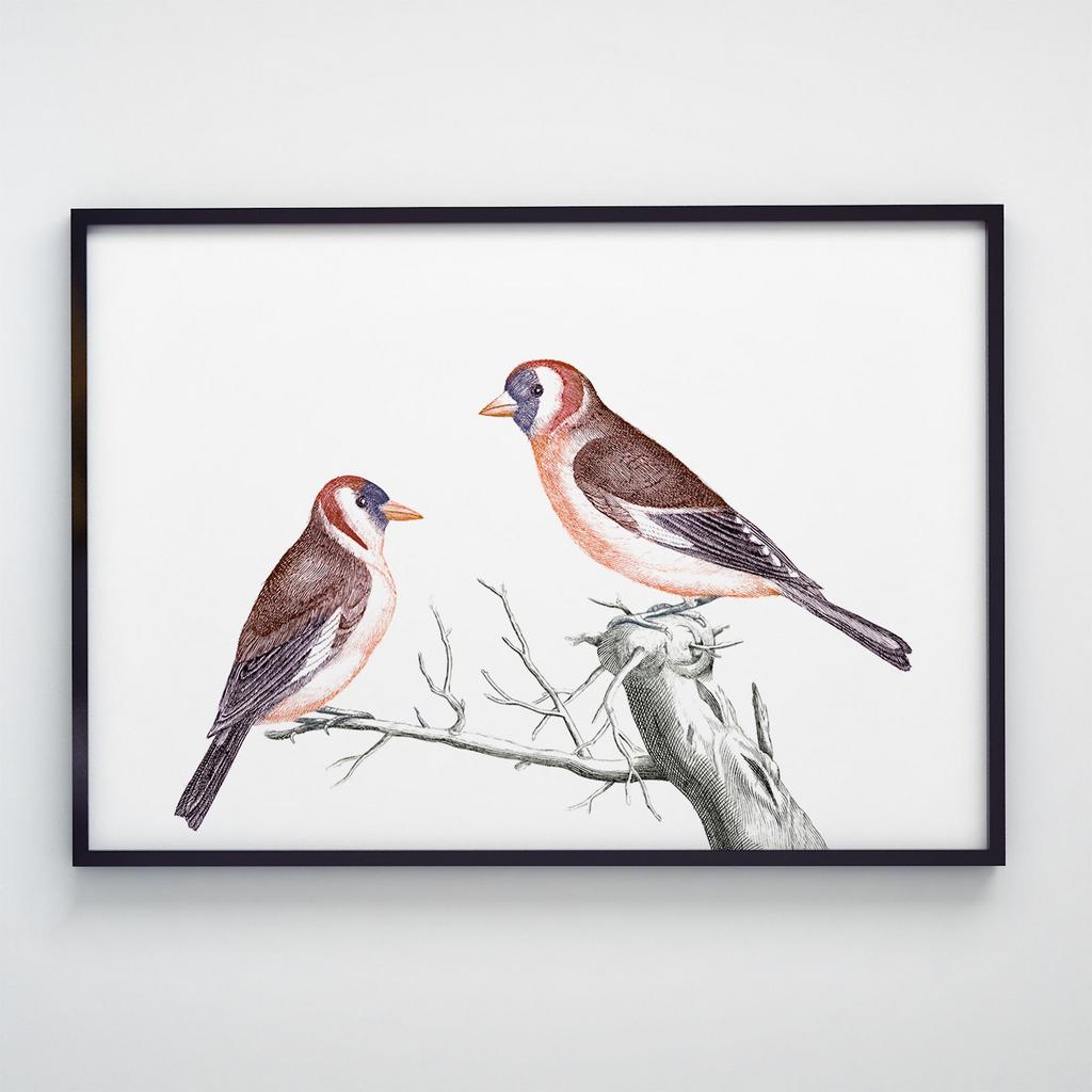 Постер на стіну з Птахами B015