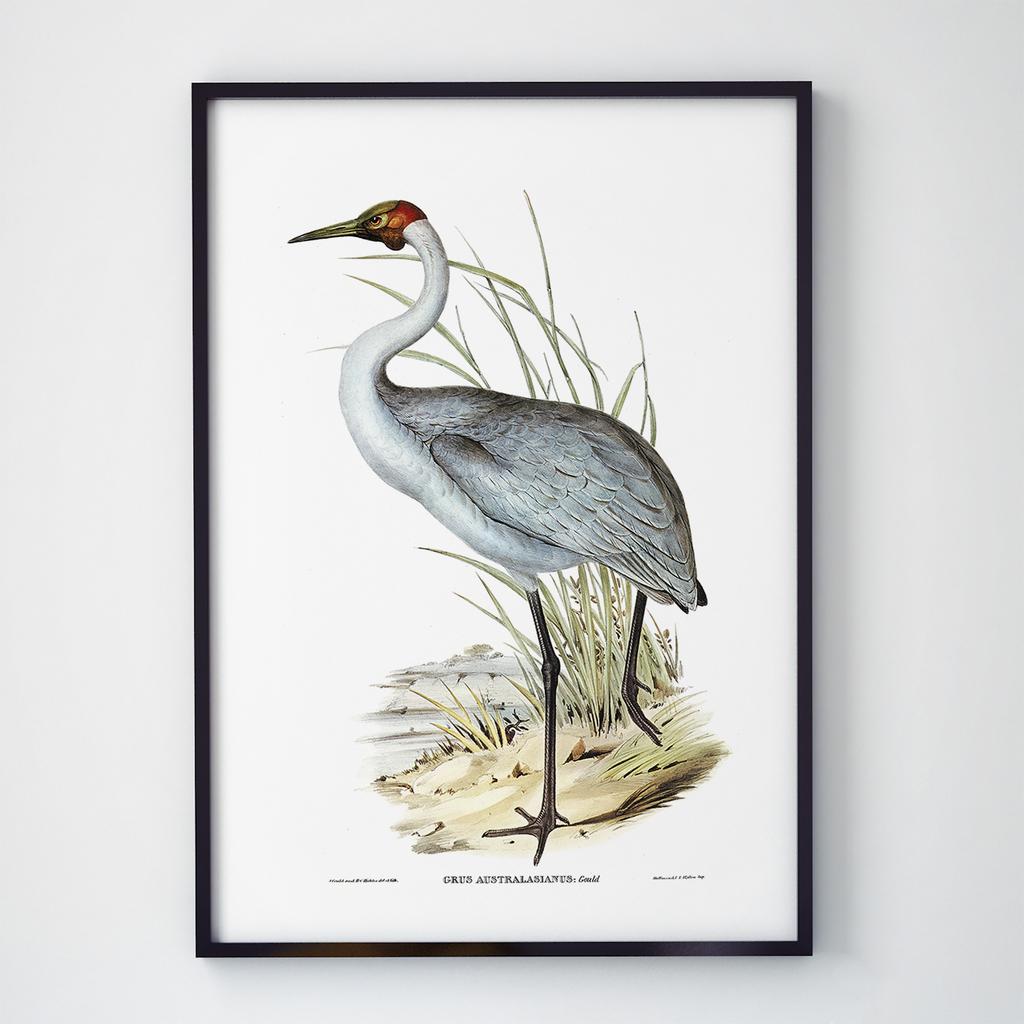 Постер на стіну з Птахами B018