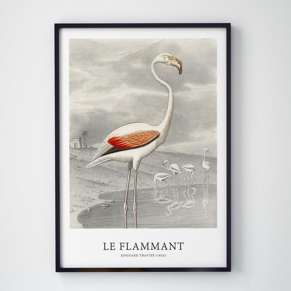 Постер на стіну з Птахами B020