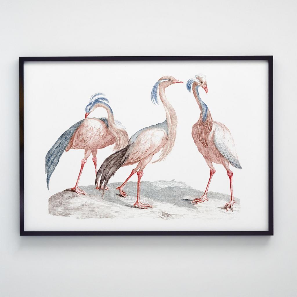 Постер на стіну з Птахами B024