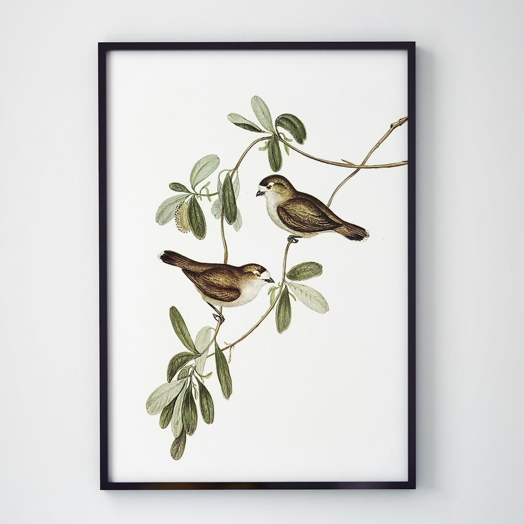 Постер на стіну з Птахами B027