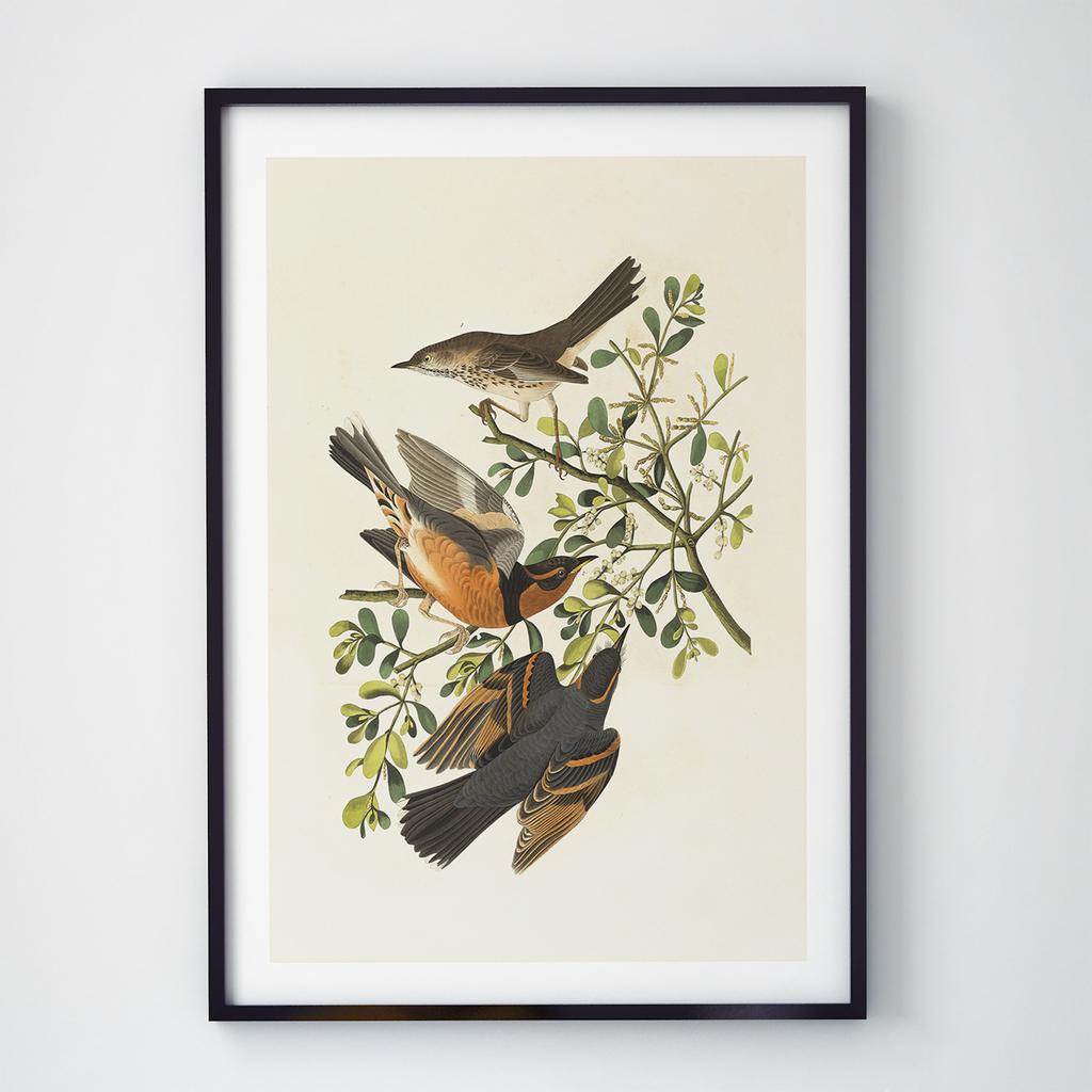 Постер на стіну з Птахами B028