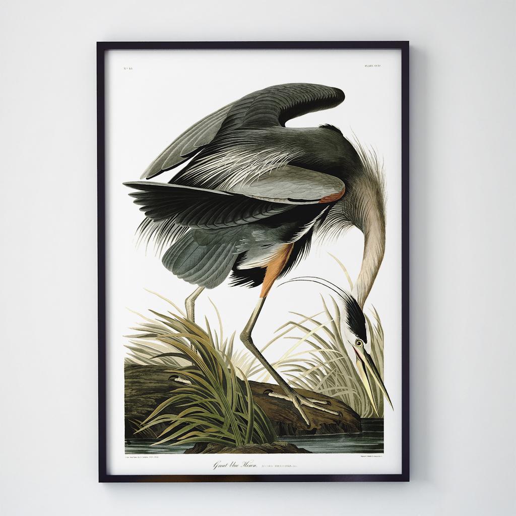 Постер на стіну з Птахами B030