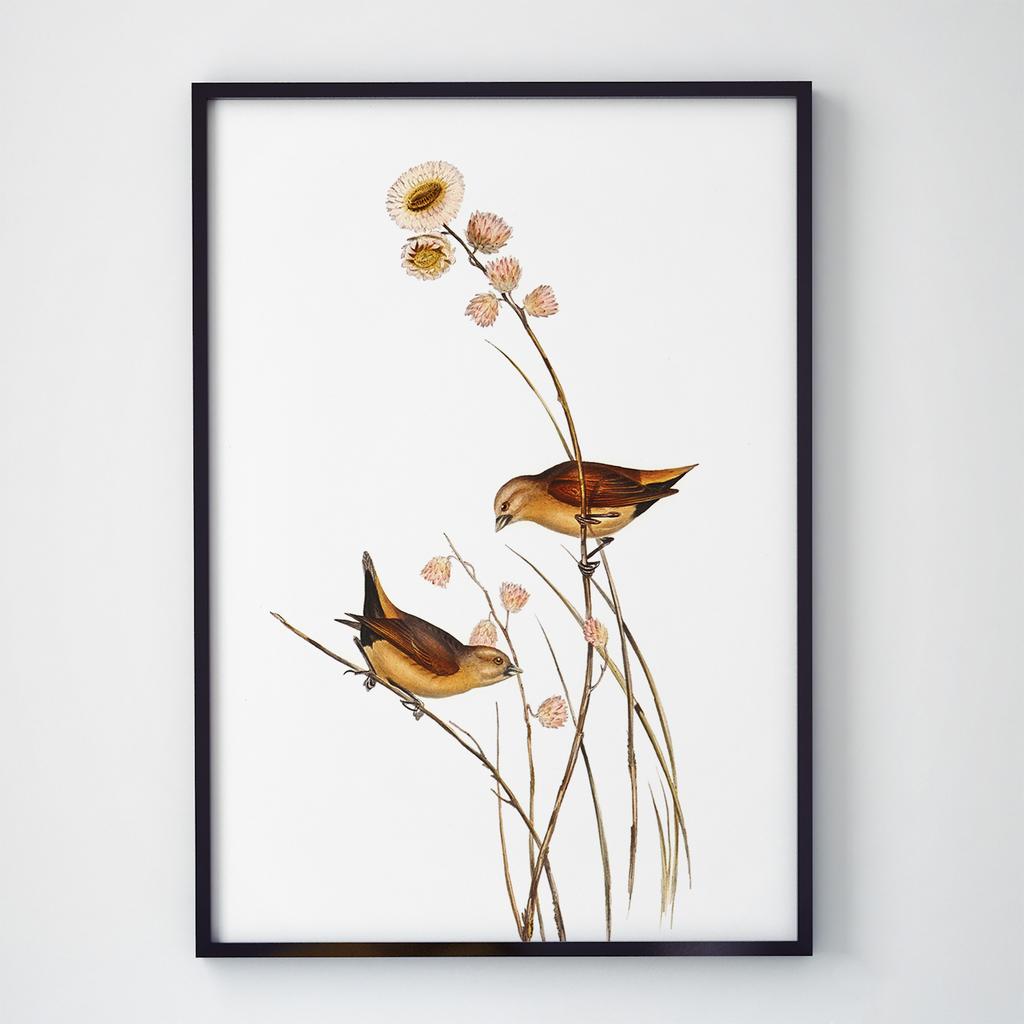 Постер на стіну з Птахами B035