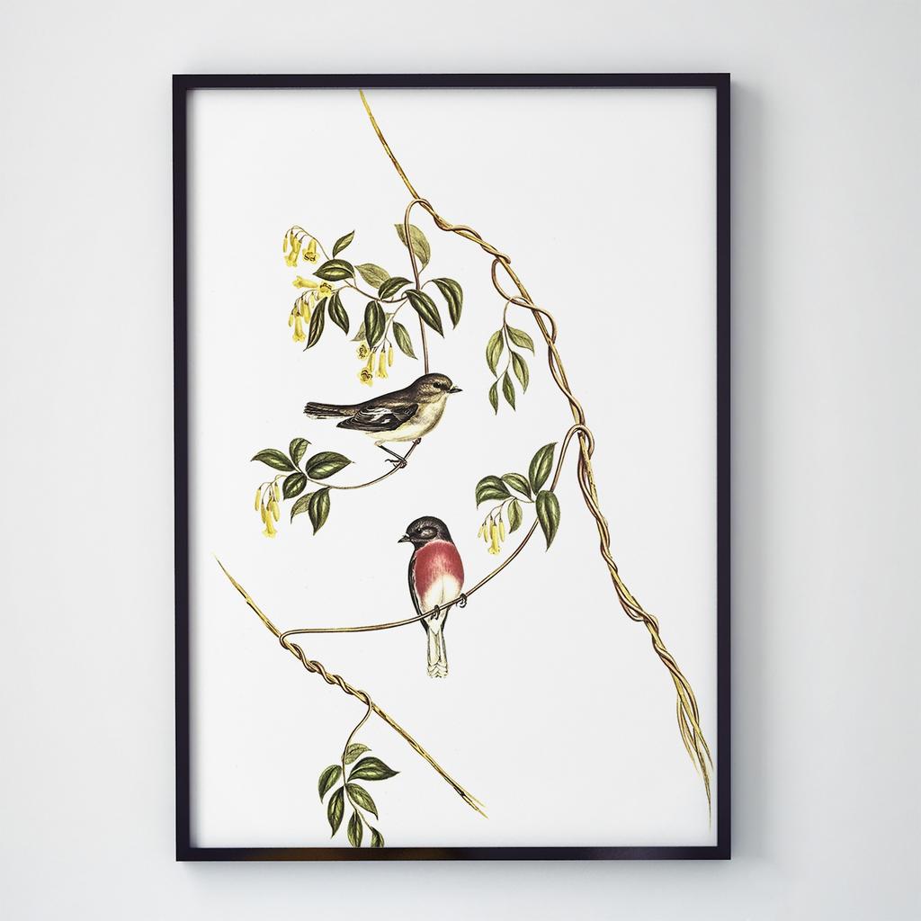 Постер на стіну з Птахами B037