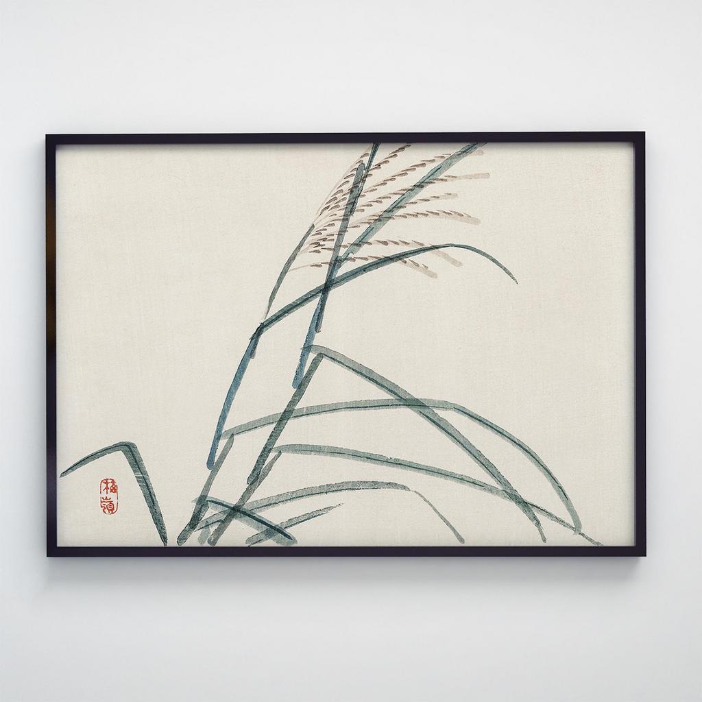 Постер Рослини T002