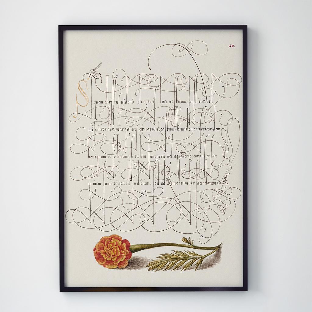 Постер з текстами та каліграфією TK044