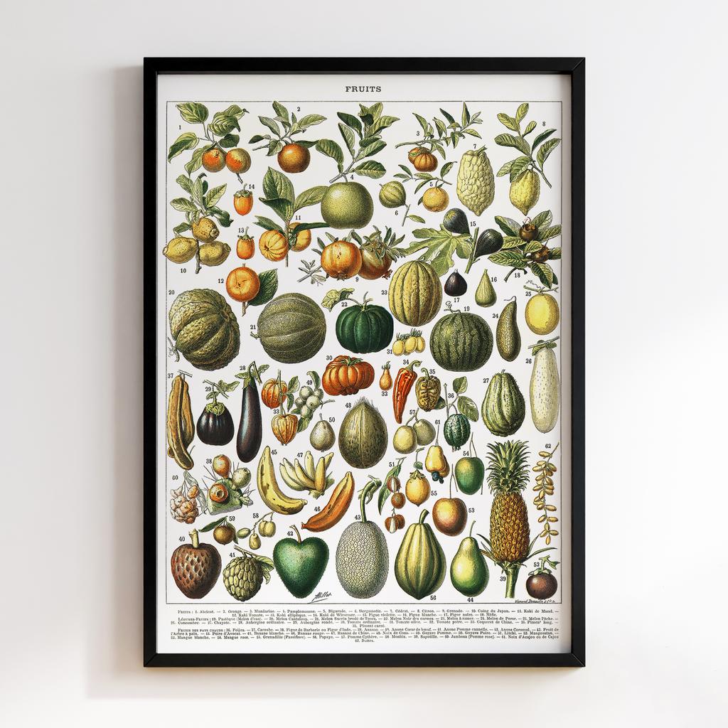 Постер Ботаніка BQ04