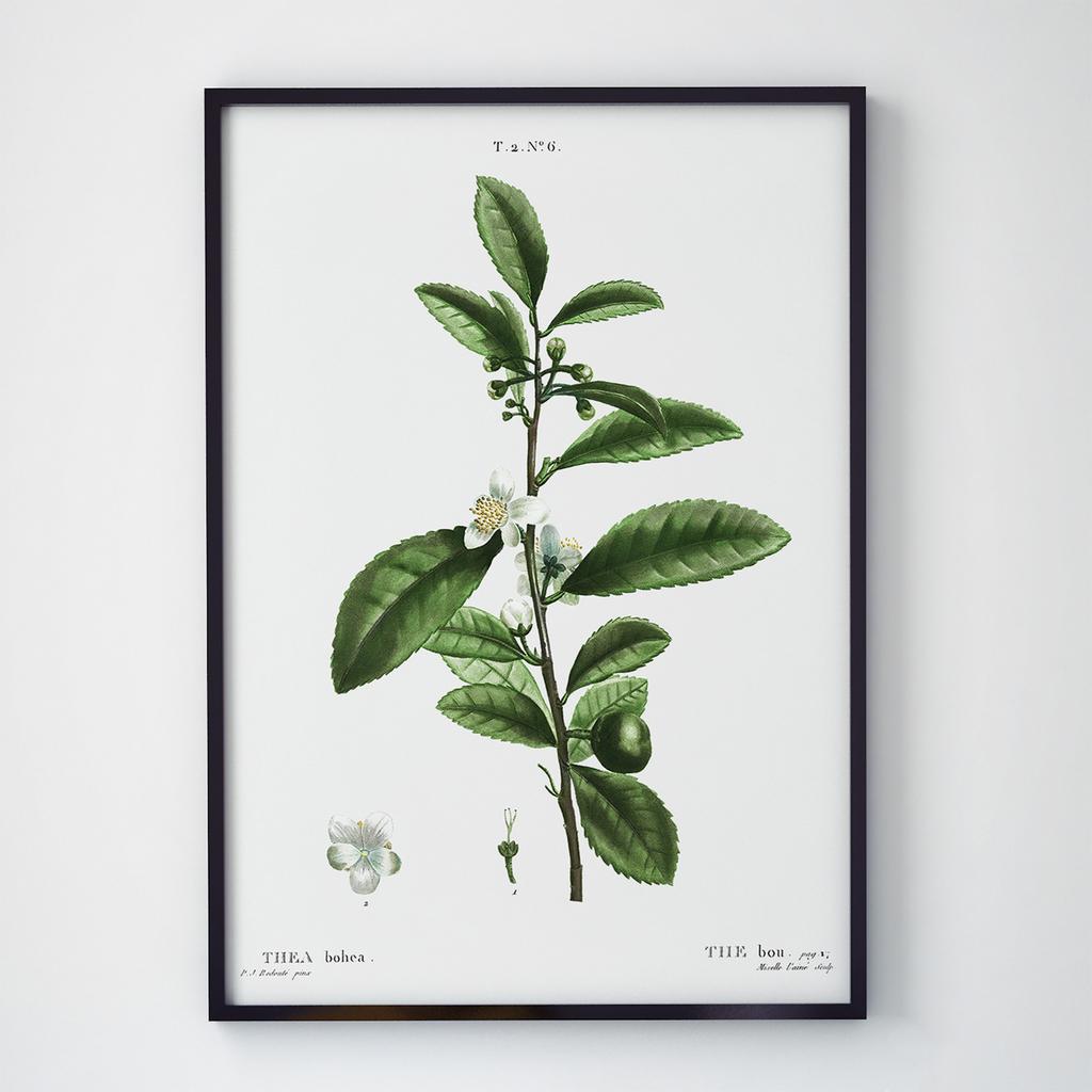 Постер Кава (Coffee) CF29