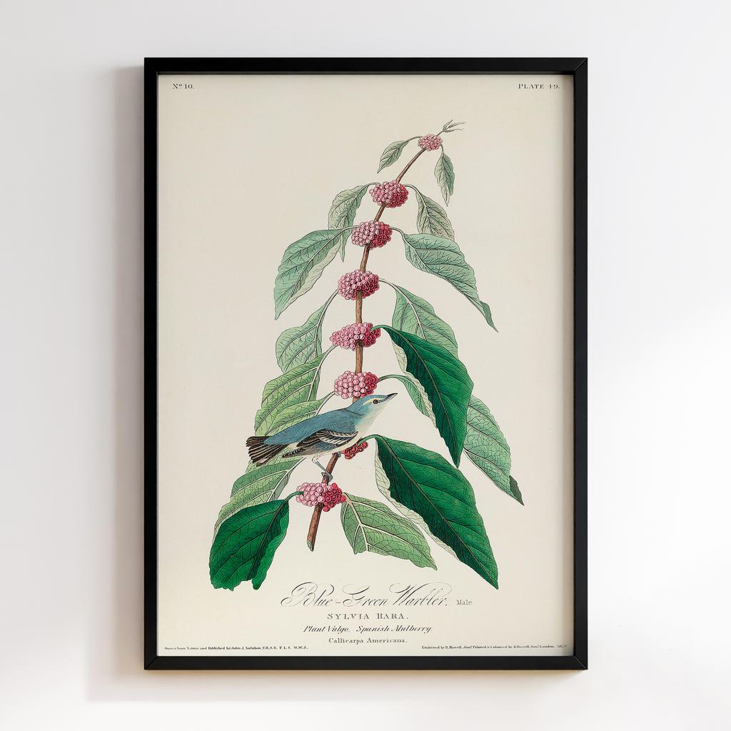 Постер Джон Джеймс Одюбон (John James Audubon) JJ01