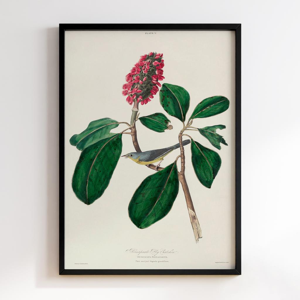 Постер Джон Джеймс Одюбон (John James Audubon) JJ10