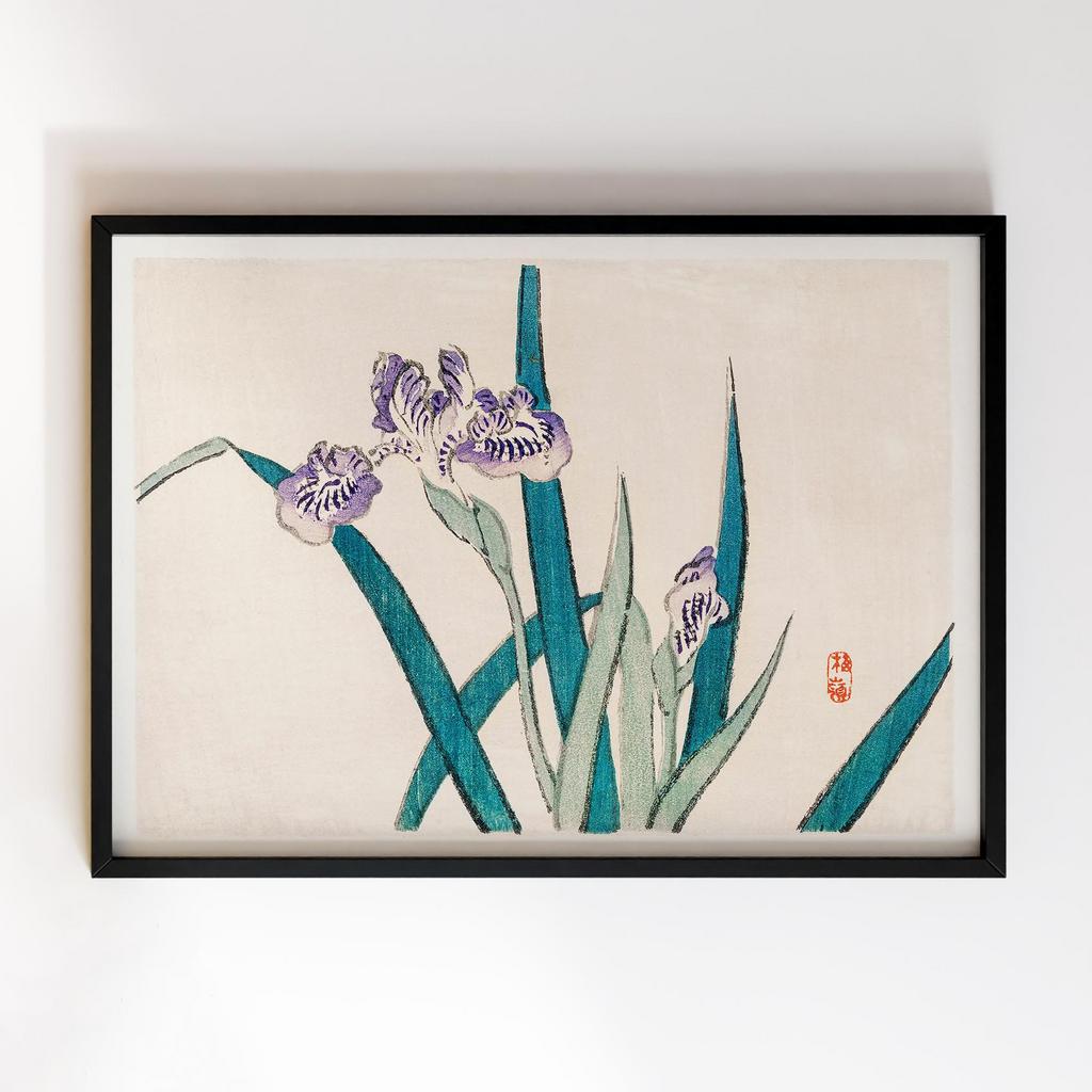 Постер Коно Байрей (Kono Bairei) KI24