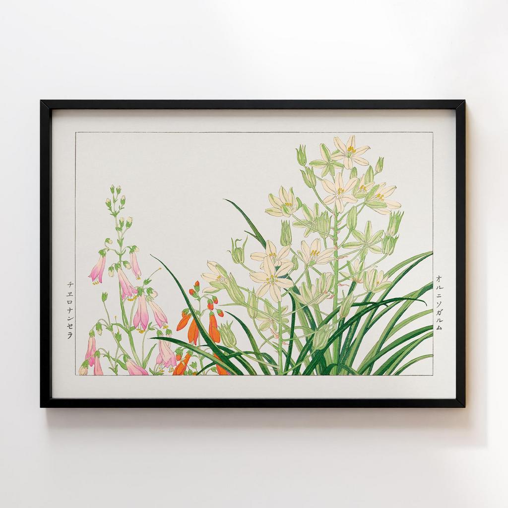 Постер Танігамі Конан (Tanigami Konan) TK05